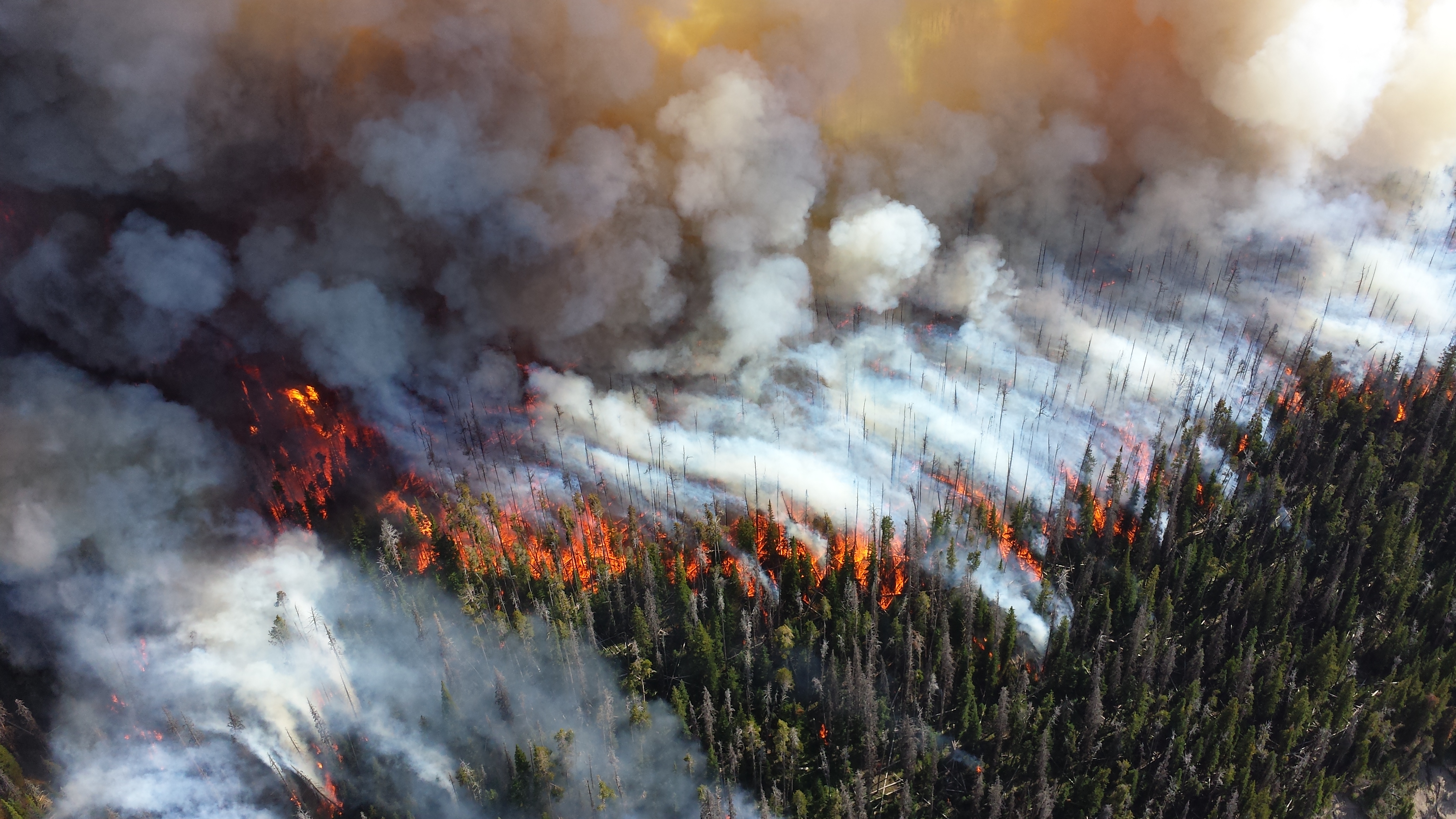 Discovering Patterns In Global Wildfires